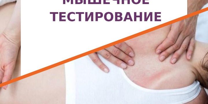Запуск курса по мануальному мышечному тестированию!